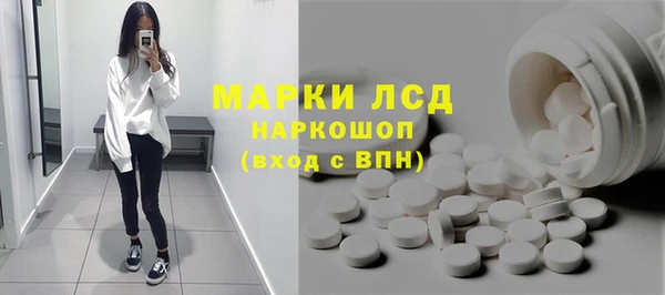 индика Ельня