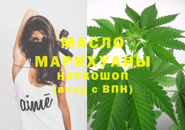 индика Ельня