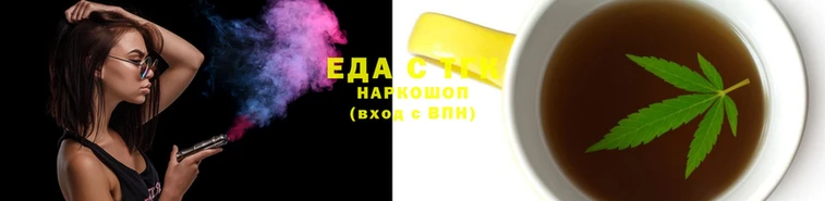 индика Ельня