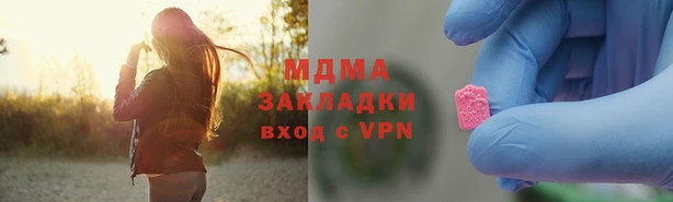 индика Ельня