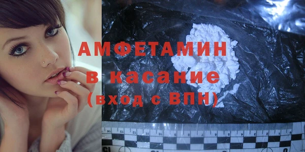 индика Ельня