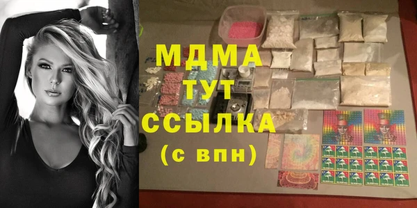 индика Ельня