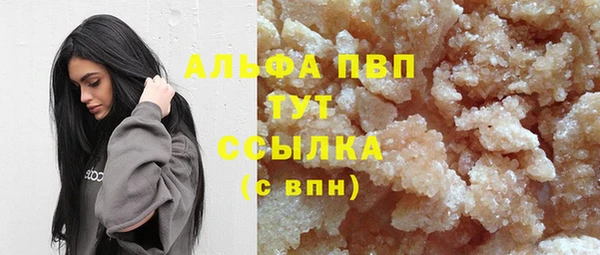 ПСИЛОЦИБИНОВЫЕ ГРИБЫ Елабуга