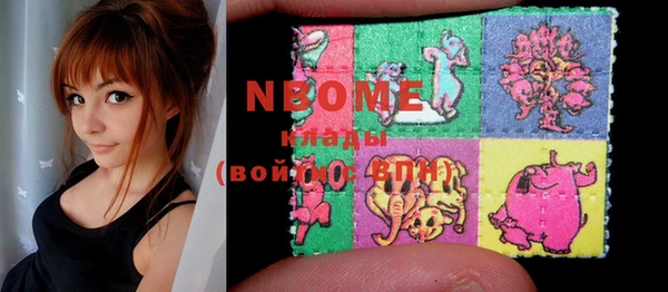 индика Ельня