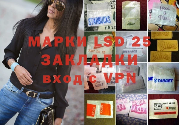 ПСИЛОЦИБИНОВЫЕ ГРИБЫ Елабуга