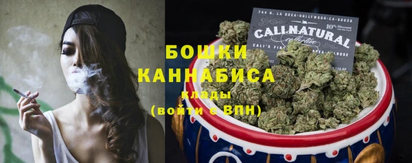 индика Ельня