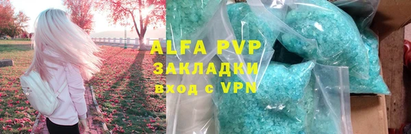 индика Ельня