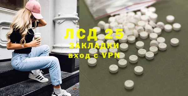 индика Ельня