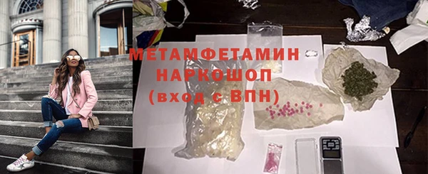 индика Ельня