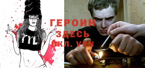 индика Ельня