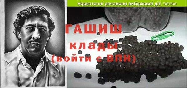 индика Ельня