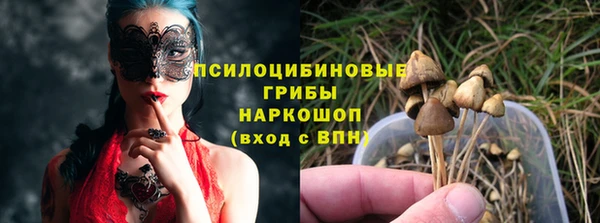 прущие крисы Елизово
