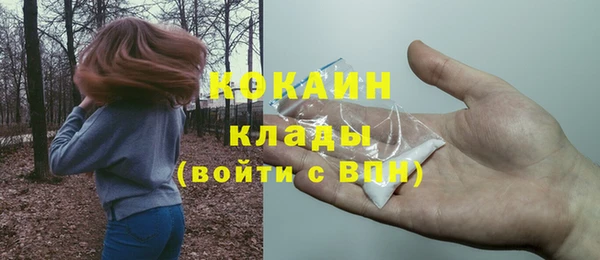 ПСИЛОЦИБИНОВЫЕ ГРИБЫ Елабуга