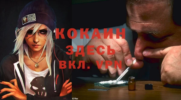 индика Ельня