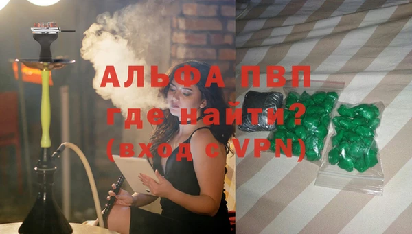 индика Ельня