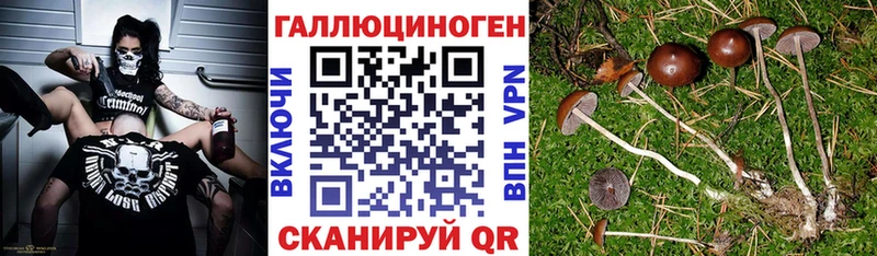Купить где  Лабытнанги  Галлюциногенные грибы Cubensis 